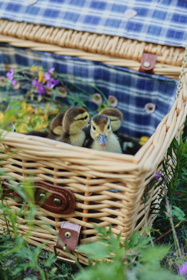 Easter Baskets, Picnic Baskets: How We’re Celebrating Outdoors This Year