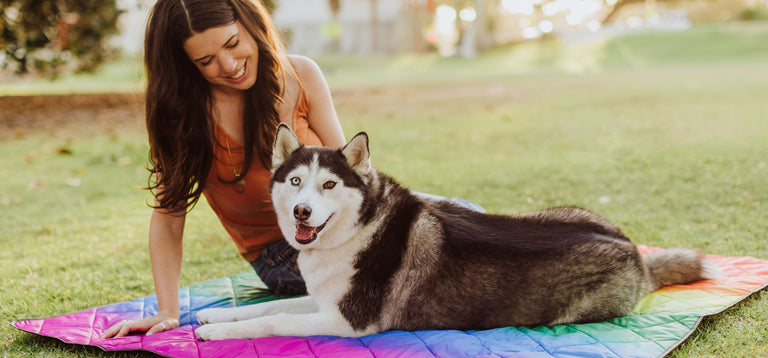 dog and woman sitting on outdoor blanket
