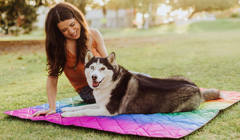  dog and girl on blanket