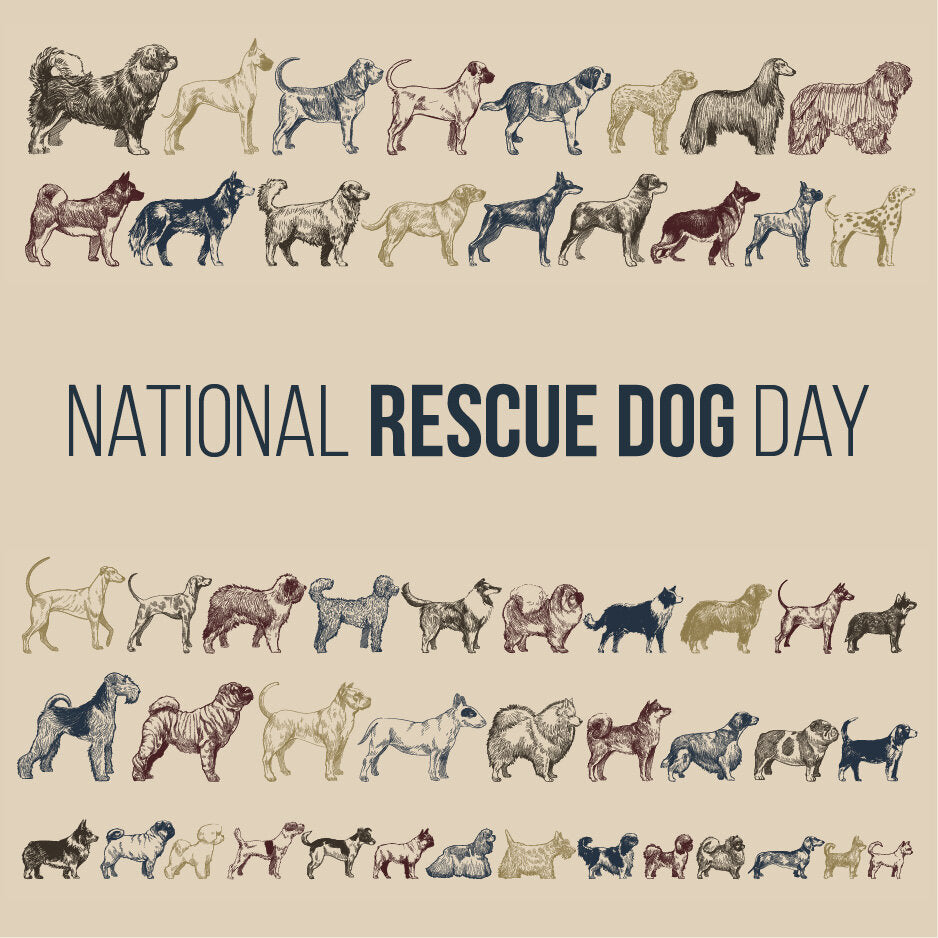 Vintage-style illustration of various dog breeds with 