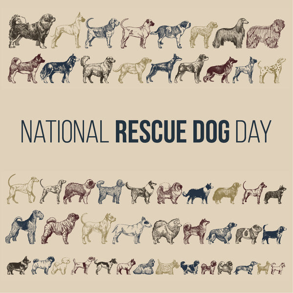 Vintage-style illustration of various dog breeds with "National Rescue Dog Day" text.