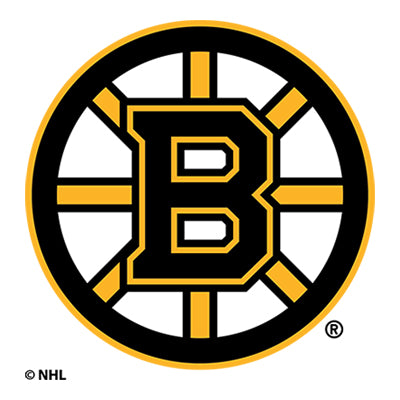 NHL team Boston Bruins logo