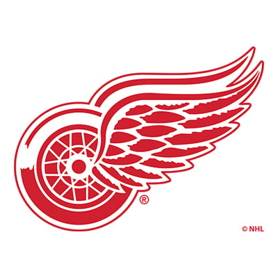 NHL team Detroit Red Wings logo