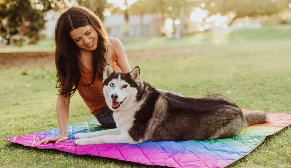 dog and woman sitting on outdoor blanket