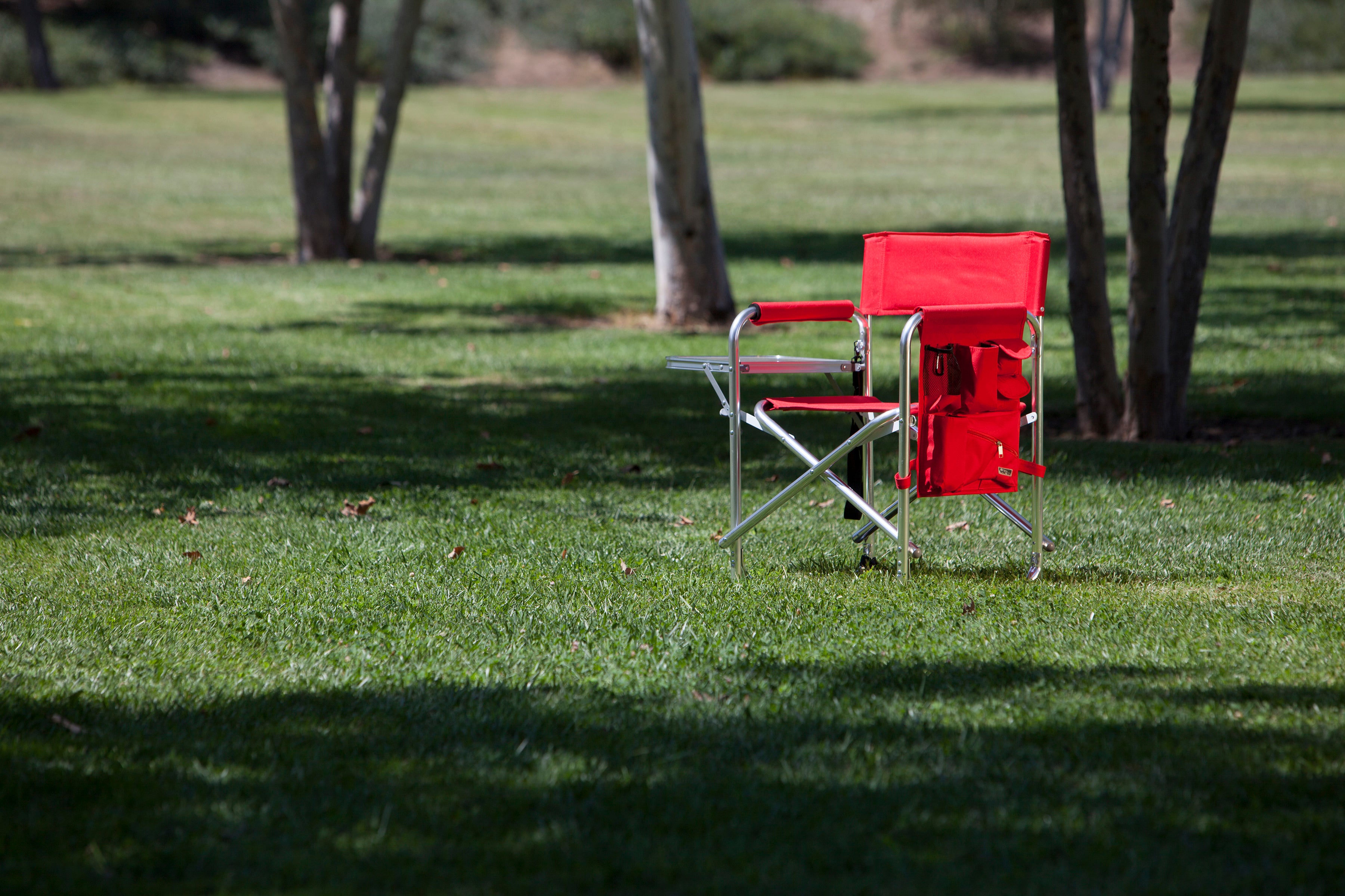 Sports Chair