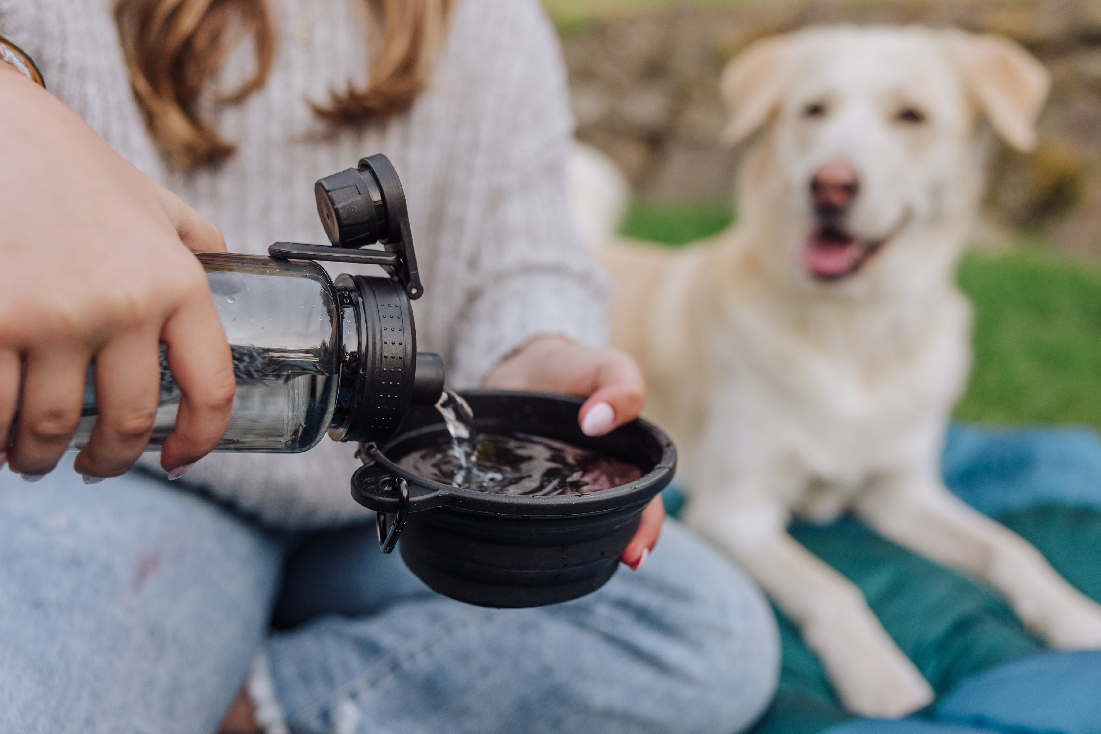 Tarana Dog Travel Kit