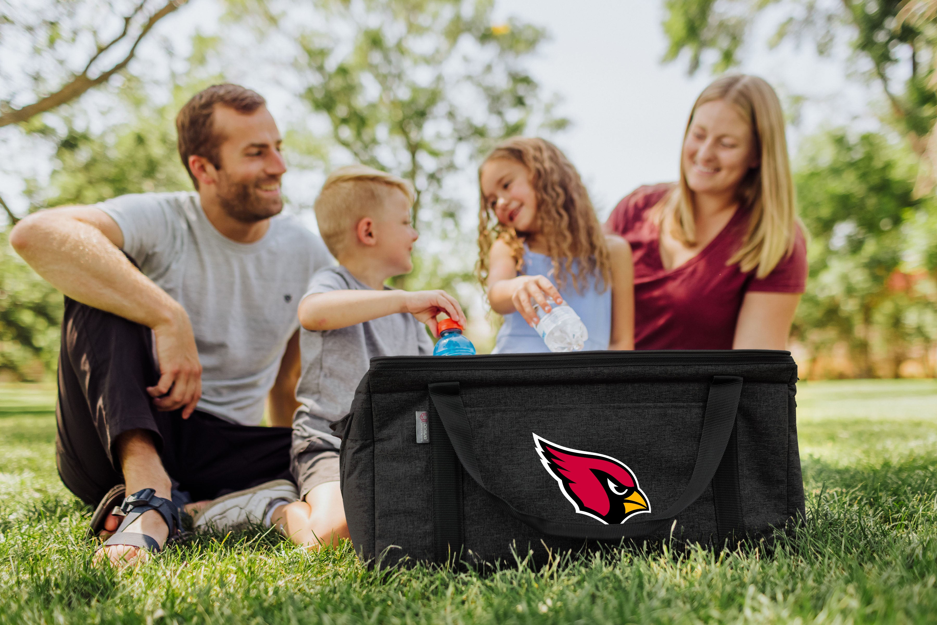 Arizona Cardinals - 64 Can Collapsible Cooler-Picnic Time Family of Brands