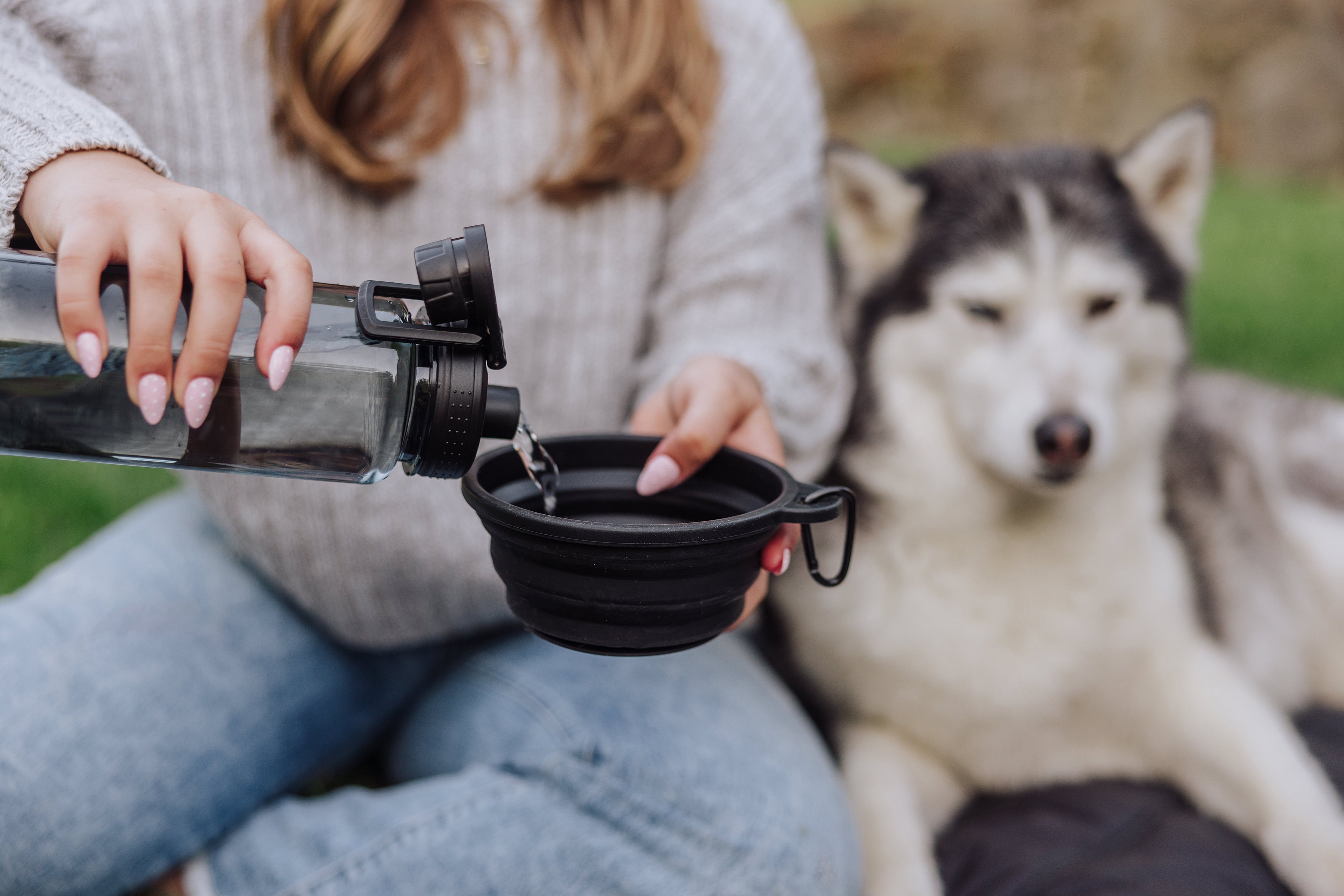 Tarana Dog Travel Kit