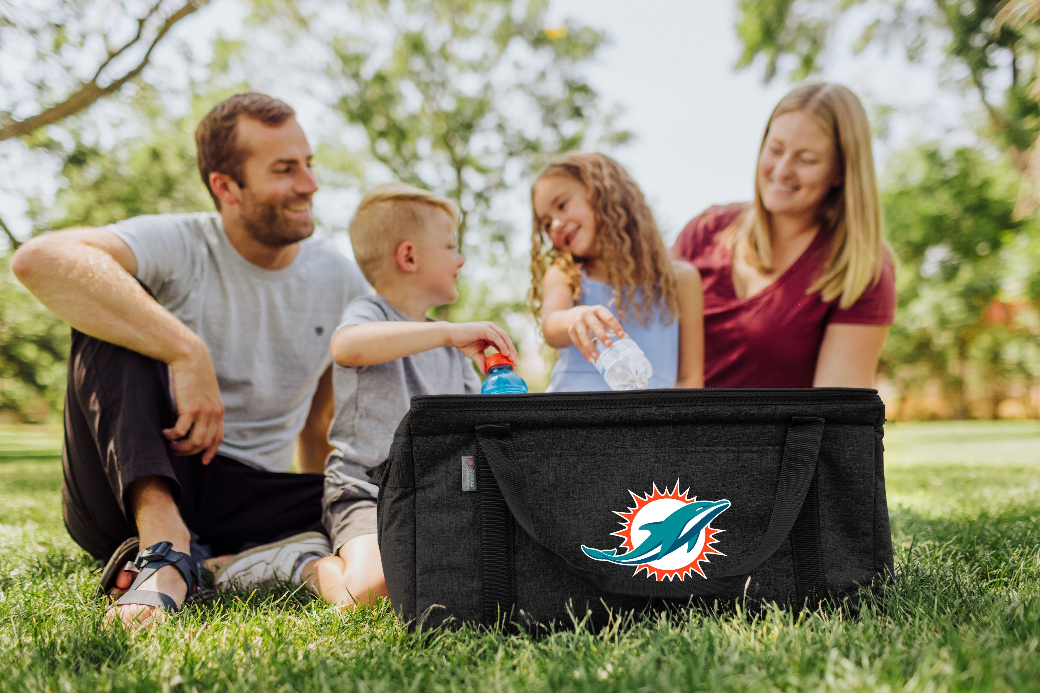 Miami Dolphins - 64 Can Collapsible Cooler