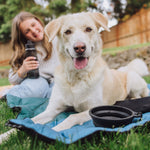 Tarana Dog Travel Kit