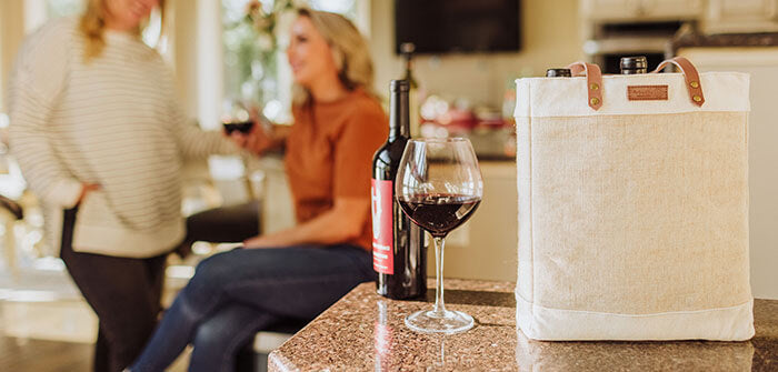 https://www.picnictime.com/cdn/shop/files/insulated_wine_tote_with_girls_drinking_wine_700x.jpg?v=1659639476