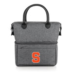 Gray with Black Accents