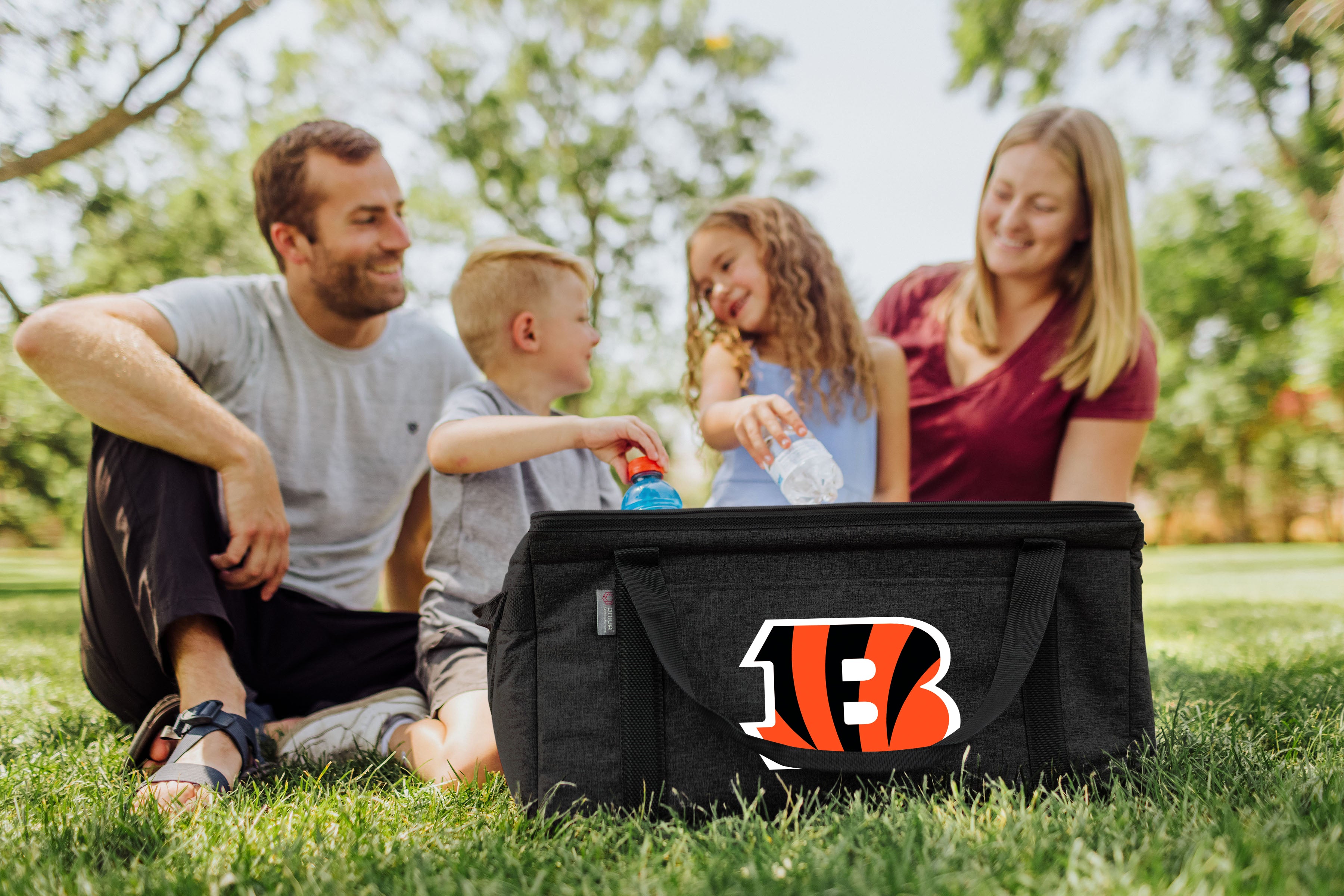 Cincinnati Bengals - 64 Can Collapsible Cooler