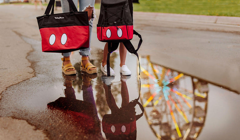 mickey mouse cooler bag and backpack at the fair