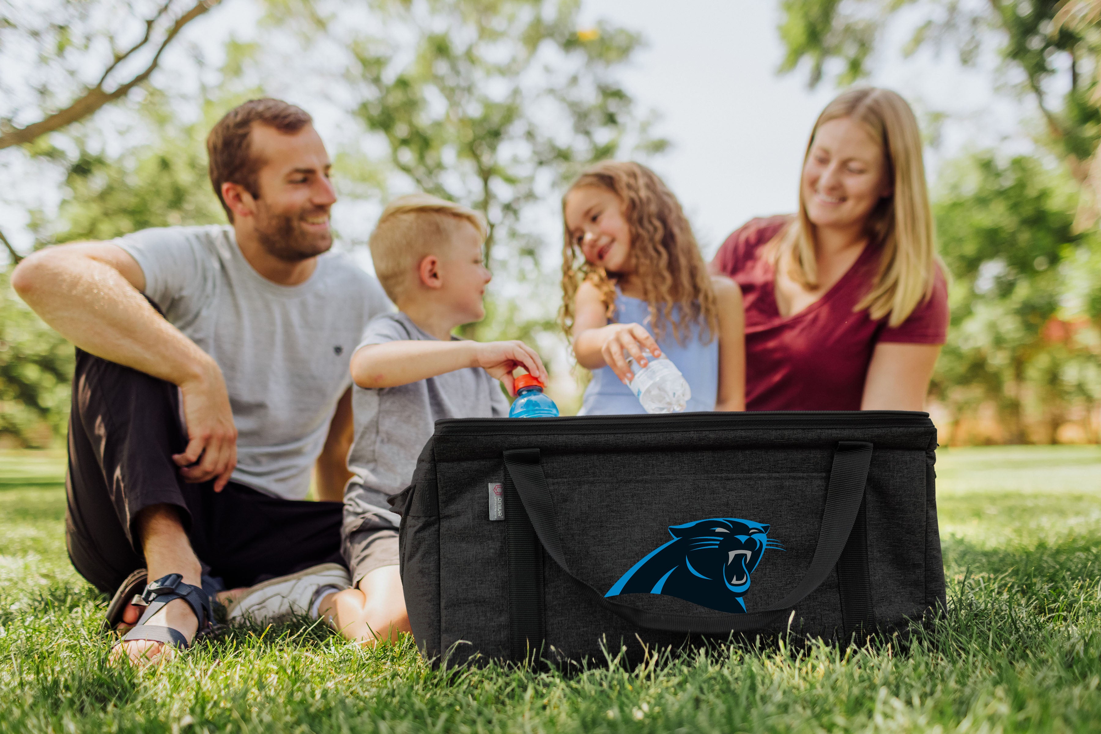 Carolina Panthers - 64 Can Collapsible Cooler-Picnic Time Family of Brands