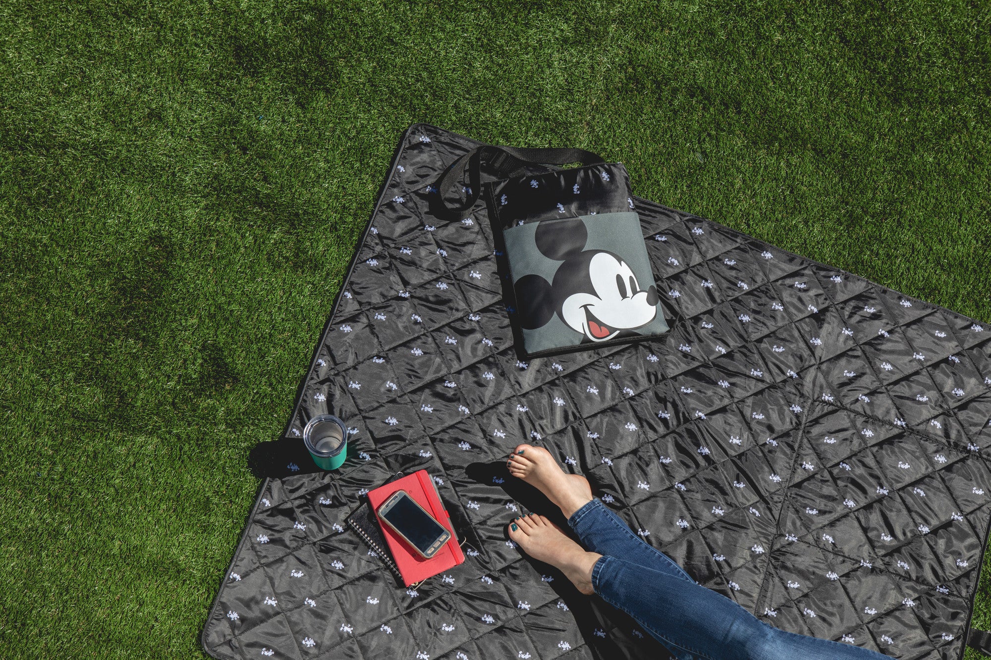 Mickey Mouse Step & Repeat Pattern with Black Exterior