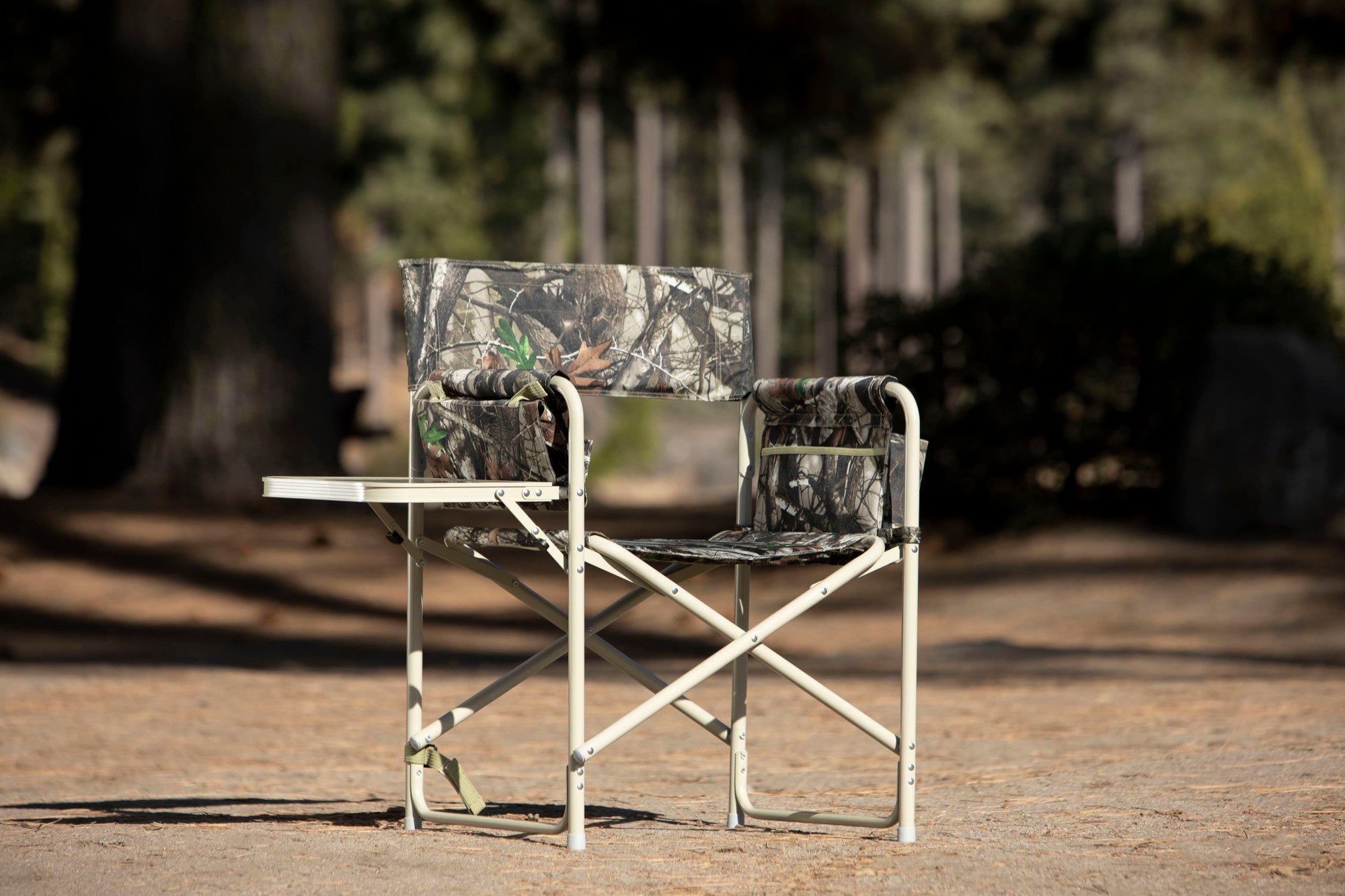 Outdoor Directors Folding Chair