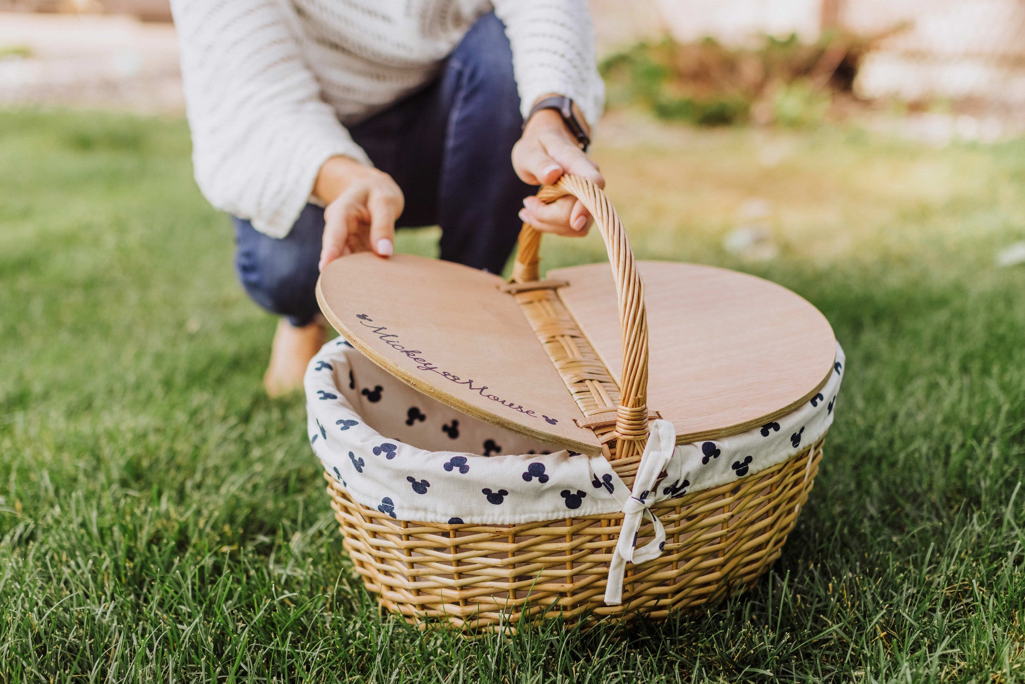 Mickey Mouse Country Picnic Basket – PICNIC TIME FAMILY OF BRANDS