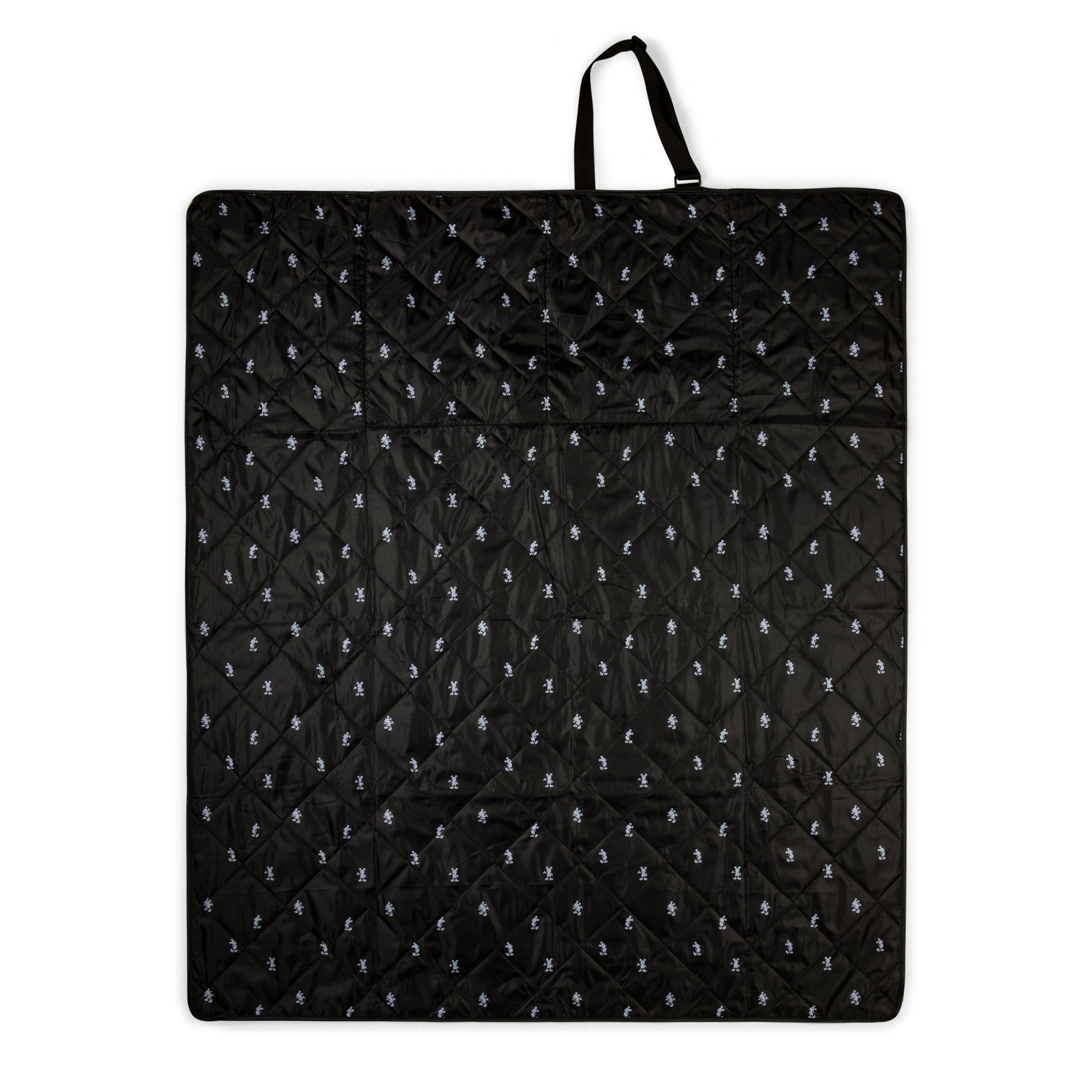 Mickey Mouse Vista Outdoor Picnic Blanket – PICNIC TIME FAMILY OF BRANDS