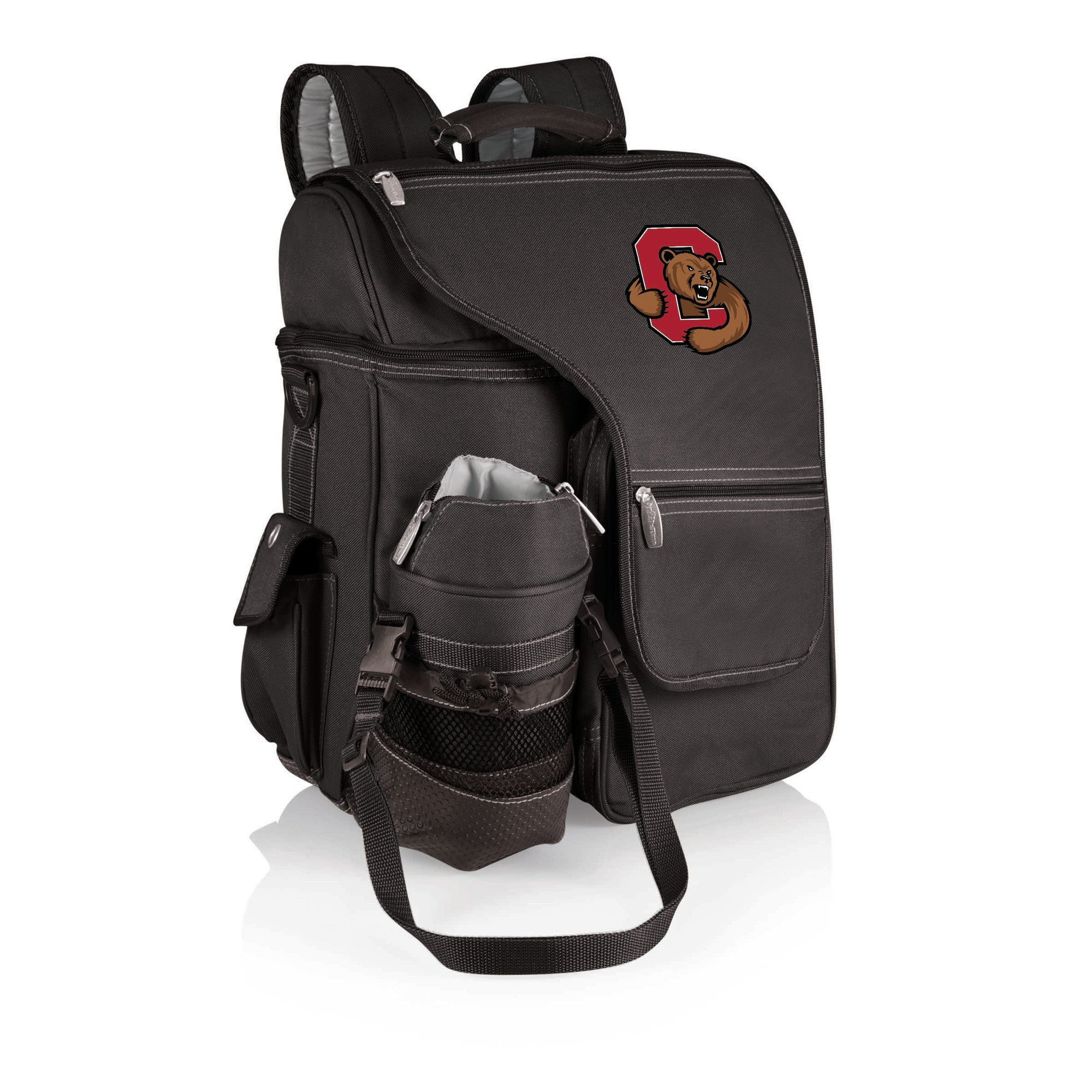 Flipkart.com | Chris & Kate Big Casual Backpack || Laptop Bag || College Bag  || School Bag - School Bag