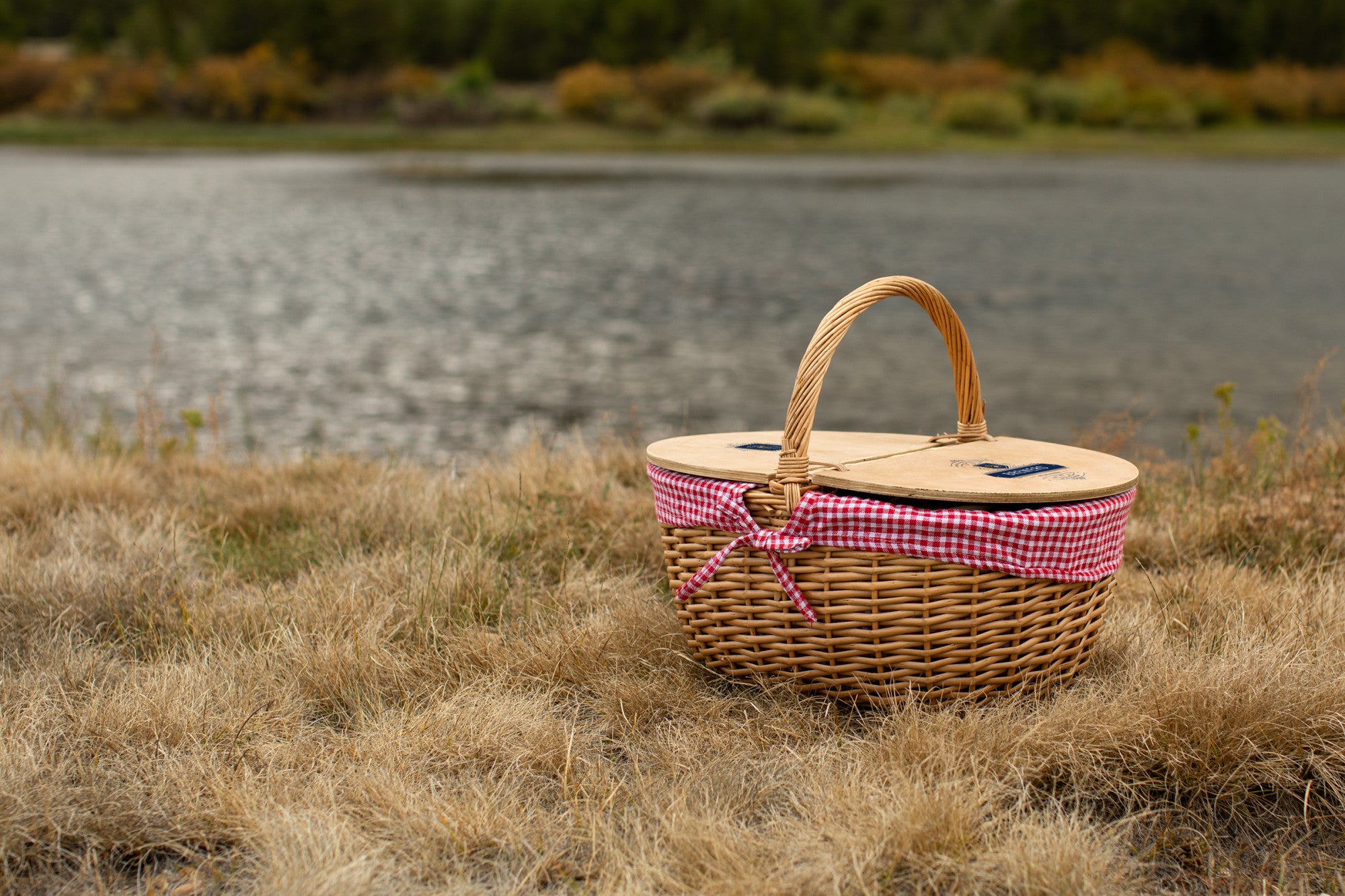 Milwaukee Brewers - Country Picnic Basket-Picnic Time Family of Brands